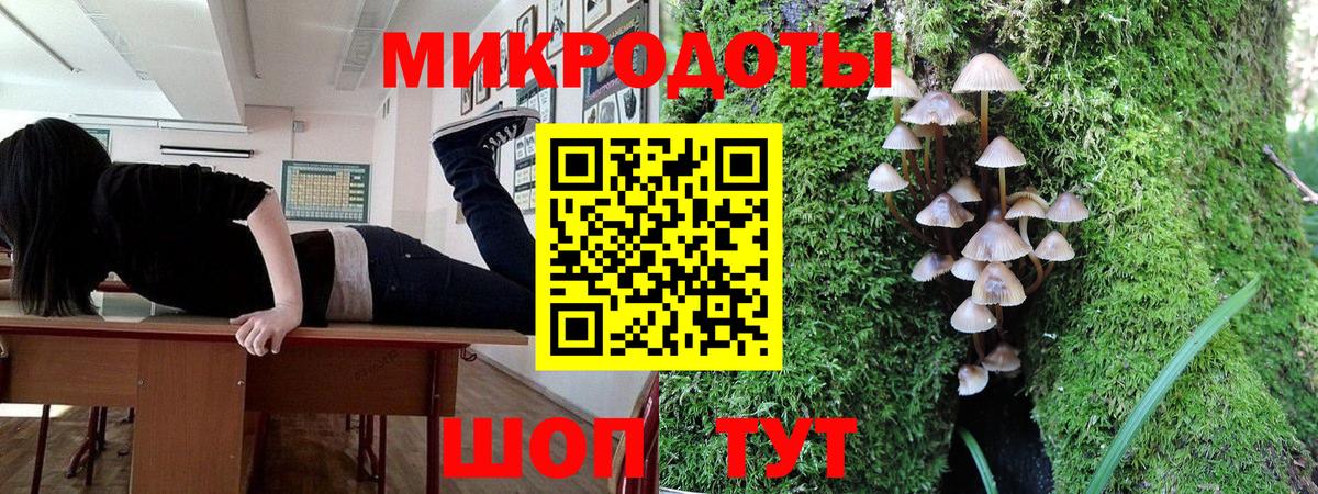 Галлюциногенные грибы Psilocybe  Вход с VPN  Новоуральск  закладка  Псилоцибиновые грибы Cubensis 